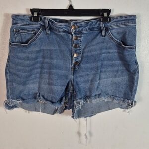 Ava & Viv Denim Blue Women's Shorts 18W